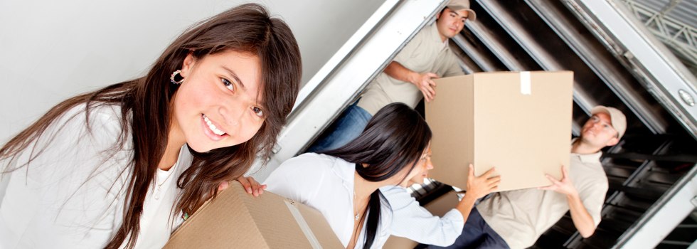 Professional Removalists Ecklin South